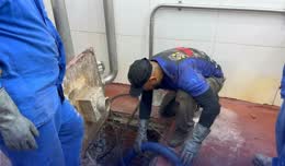 Caixa de gordura